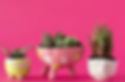 Fall) Tiny Treasures with Izzy O